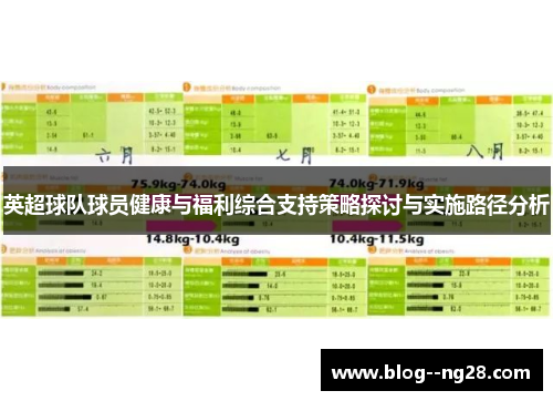 英超球队球员健康与福利综合支持策略探讨与实施路径分析